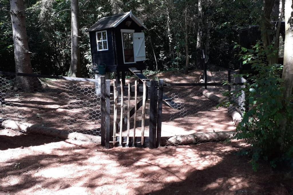 Comfortable Chalet In A Unique Location In Forest Essen Kültér fotó